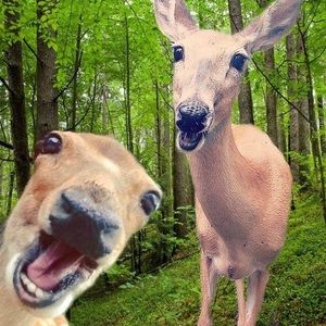 Meet your Posher, Kara